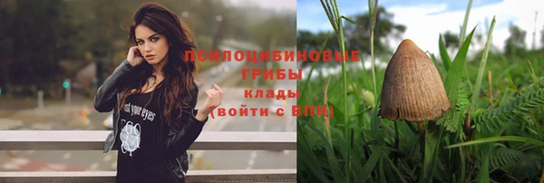 ГАЛЛЮЦИНОГЕННЫЕ ГРИБЫ Белоозёрский