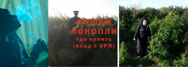 трава Богородицк